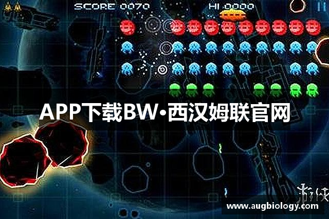 APP下载BW·西汉姆联官网